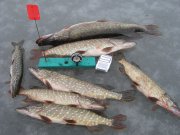IMG_0369.JPG