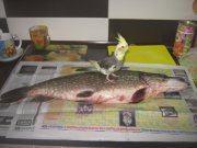 IMG_0373.JPG