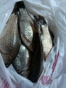 IMG_20131222_150732.jpg