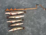 IMG_0364.JPG