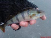 DSC01272.JPG
