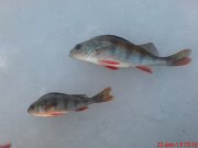 DSC01283.JPG