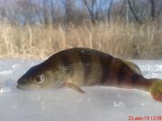 DSC01276.JPG