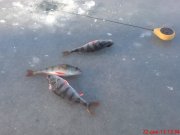 DSC01277.JPG
