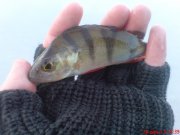 DSC01284.JPG