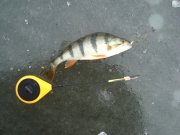 DSC09722++.JPG