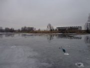 DSC01838.JPG