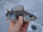 DSC01830.JPG
