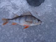 DSC01833.JPG