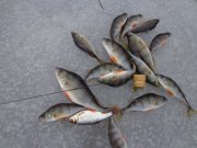 DSC01836.JPG