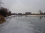 DSC01837.JPG