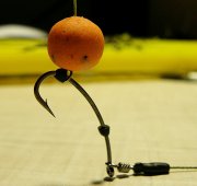 IMG_20131227_035102.jpg