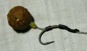 IMG_20131227_035321.jpg