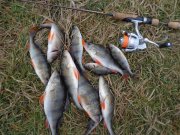 DSC01858.JPG