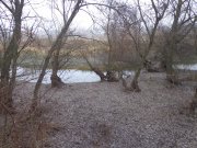 DSC01839.JPG