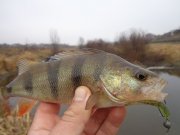 DSC01855.JPG