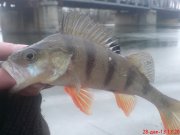 DSC01290.JPG