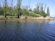 28042013456.jpg