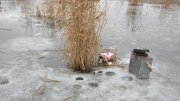 IMG_1966.jpg