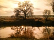 IMAG1628-3.jpg