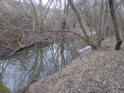 DSC01875.JPG