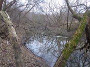 DSC01876.JPG