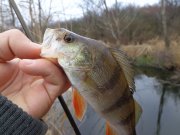 DSC01880.JPG