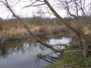 DSC01884.JPG