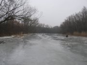 IMG_4538.JPG
