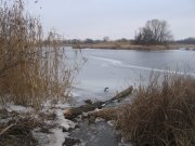 IMG_4517.JPG