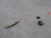 IMG_4531.JPG