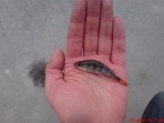 DSC01294.JPG