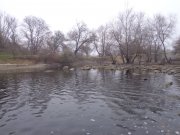 DSC01896.JPG