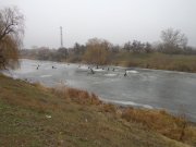 DSC01907.JPG