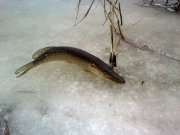 DSC_1467.jpg