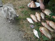 DSCN0704.jpg