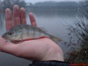 DSC01303.JPG