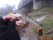 DSC01306.JPG