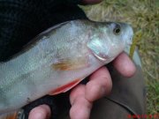 DSC01307.JPG