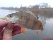 DSC01310.JPG