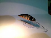 DSC_0043.jpg