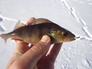 DSC01966.JPG