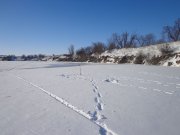 DSC01967.JPG