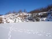 DSC01973.JPG