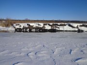 DSC01978.JPG