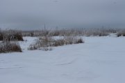 IMG_0939.JPG