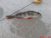 DSC01320.JPG