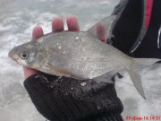 DSC01322.JPG