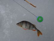 DSC01998.JPG