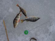 DSC01999.JPG